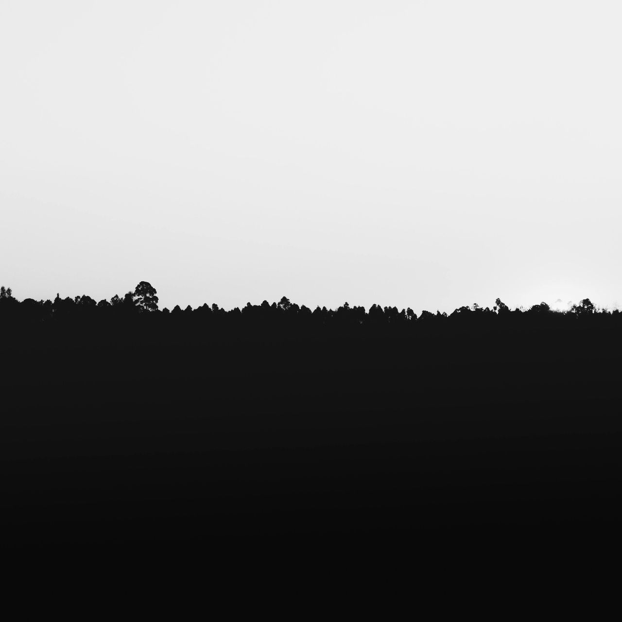 not the actual cover